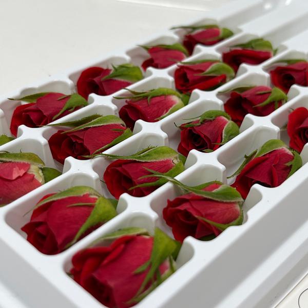 [Release date: April 4, 2023]洋菓子などの飾り、サラダに。彩りよく華やかになります。直径1.5cm〜2cmほどの小さな食用花の一つです。食用ミニバラ生花です。内容量：１パック20個入クール便でのお届けとなります。