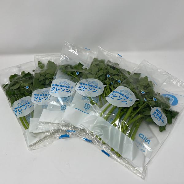 別名　オランダ水がらし肉料理によく添えられている野菜です。特有の風味と辛味が肉の脂っぽさを緩和してくれる緑が綺麗なハーブで、サラダにもおすすめです。内容量：１０パッククール便でのお届けとなります。【ご注意ください！！】※九州・北海道へは別途...