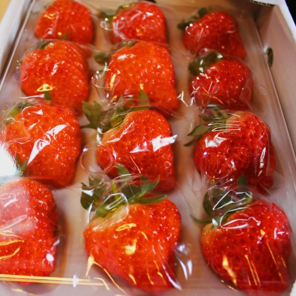 [Release date: January 11, 2026]真っ赤でツヤツヤ。大粒で甘く香りもよく、ギュッと引き締まった実。ひと粒ずつ丁寧に、大事に育てられてきたのがよくわかります。この品種には珍しく、摘果（間引き）をして一粒への味と大...