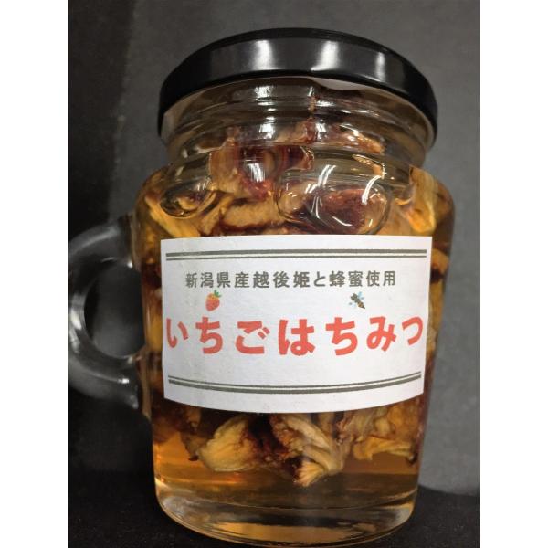 いちごはちみつ1ｇ 新潟県産越後姫 ドライ苺入り Ichigo Hachimitu1 高級フルーツ野菜問屋 五十嵐本店 通販 Yahoo ショッピング