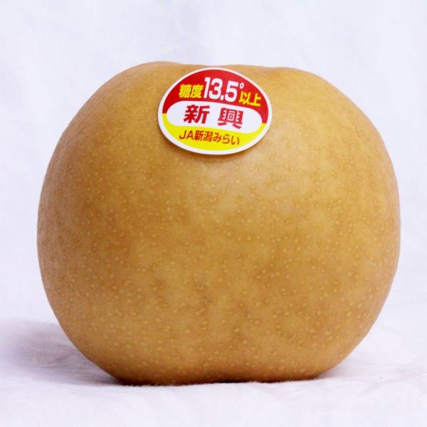  iV Ȃ a ꓜ Mtg5kg@Ṽgbvuh ꓜ