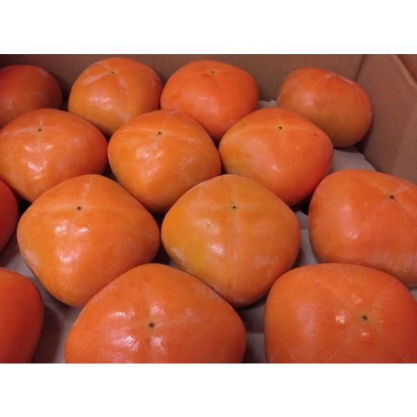 ` Ȃ ZȊÂ VnY `3L@14(3.75kgl)