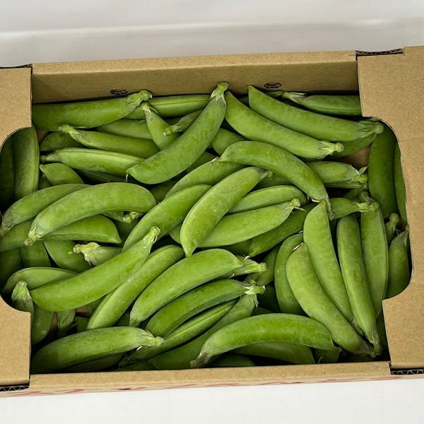 送料無料 スナップエンドウ スナックエンドウ 熊本/愛知/茨城/新潟県産 
