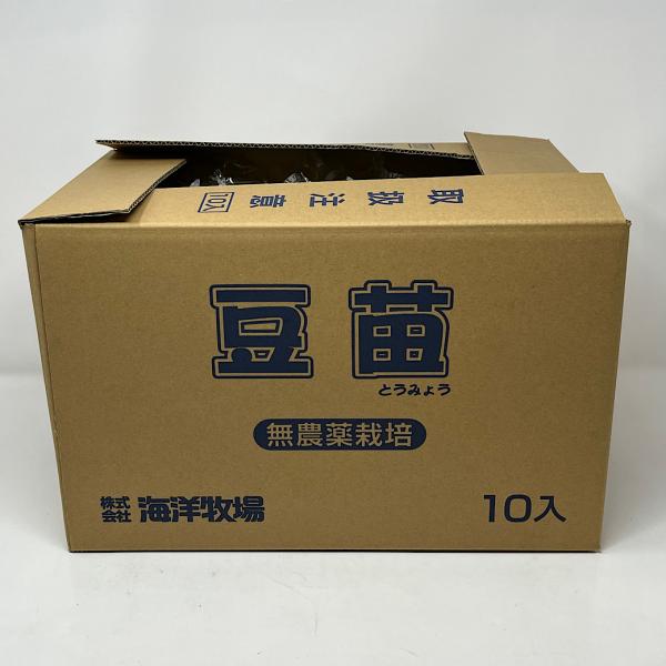 豆苗はエンドウの若菜で特有の風味があり、β-カロテンをはじめとするビタミン類が豊富です。豆の香りとシャキシャキの歯ごたえが良く、お手頃価格で栄養価も高い野菜です。炒めたり、スープにくわえたり、加熱料理に使われることが多い豆苗ですが生でも食べ...