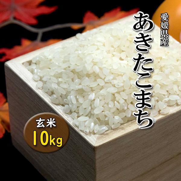 あきたこまち 愛媛県産 新米 2023年 玄米 精米可 約10kg 送料無料