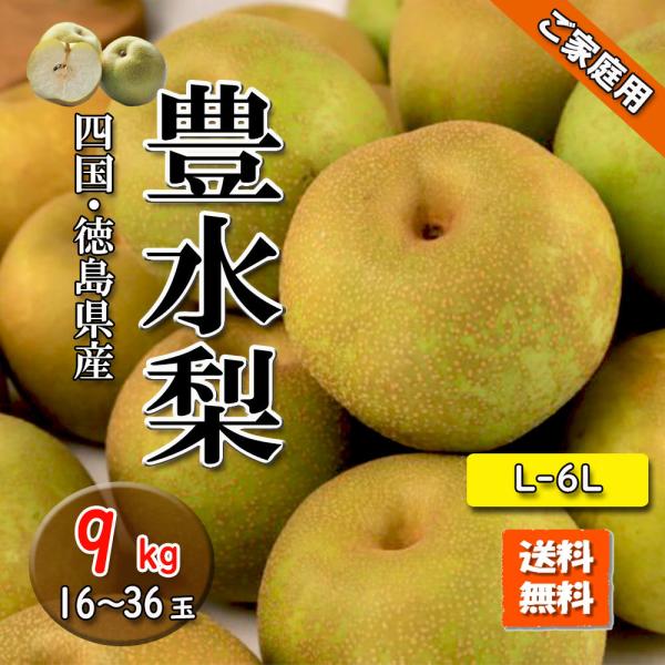 豊水 梨 豊水梨 敬老の日 ご家庭用 疲労回復に L〜6L 約 9ｋg 送料無料 徳島県産 愛媛県産