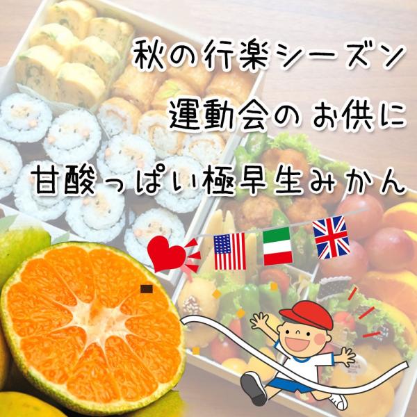 �ɑ����݂��� �ɑ��� �݂��� ���Q���Y �����o�� ��2���� M�`2�k ���� �V�� �������� ���i�摜2