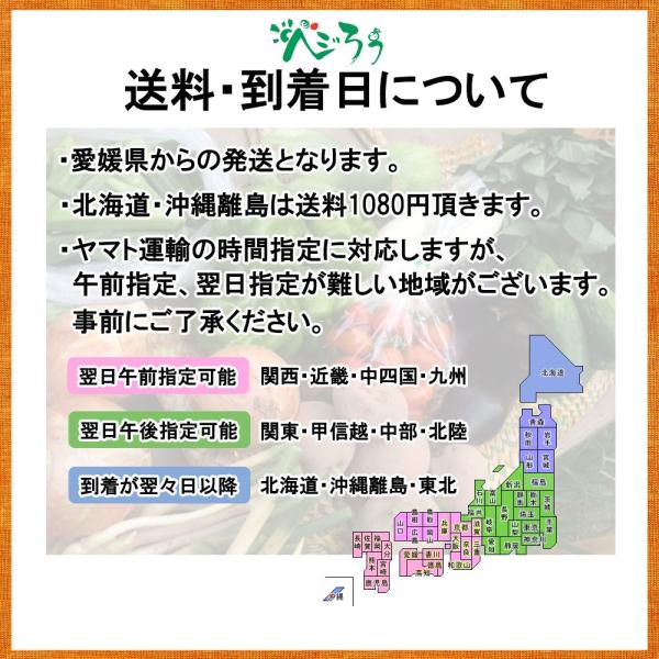 �ɑ����݂��� �ɑ��� �݂��� ���Q���Y �����o�� ��2���� M�`2�k ���� �V�� �������� ���i�摜5