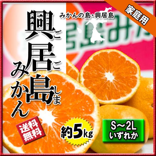 みかん 箱買い 興居島みかん 興居島 みかんの島 2Ｓ〜2Ｌ 家庭用 約5ｋｇ 送料無料 愛媛みかん内容：興居島みかん原産地：愛媛県内容量：5kg 2S-2Lいずれか 家庭用みかん王国・愛媛の中でももっともみかんに愛情を注ぐ、興居島今年も興...
