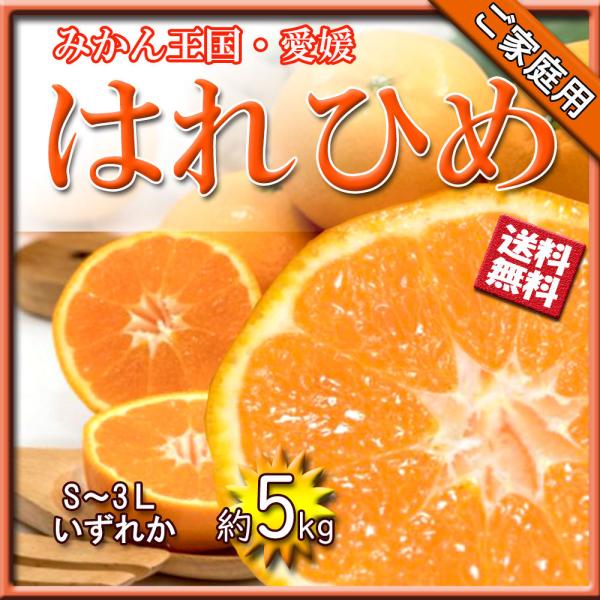 はれひめ 箱買い みかん ご家庭用 雑柑 2S S M L 2L 3L 約5kg