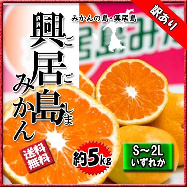 みかん 箱買い 訳あり 興居島みかん 訳ありみかん 興居島 みかんの島 Ｓ〜2Ｌ 家庭用 約5ｋｇ 送料無料 愛媛みかん内容：興居島みかん原産地：愛媛県内容量：5kg S-2Lいずれか 訳ありみかん王国・愛媛の中でももっともみかんに愛情を注...