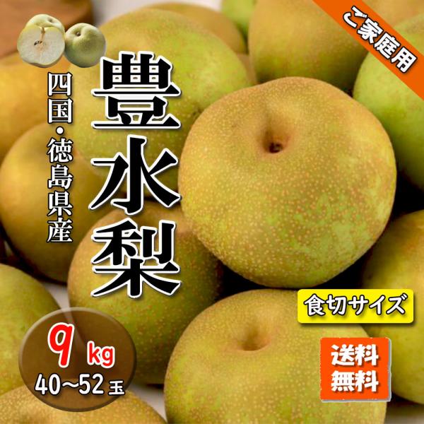 豊水 梨 豊水梨 ご家庭用 甘くて美味しい 夏の疲労回復に 食べ切りサイズ 9ｋg 送料無料 徳島県産 愛媛県産
