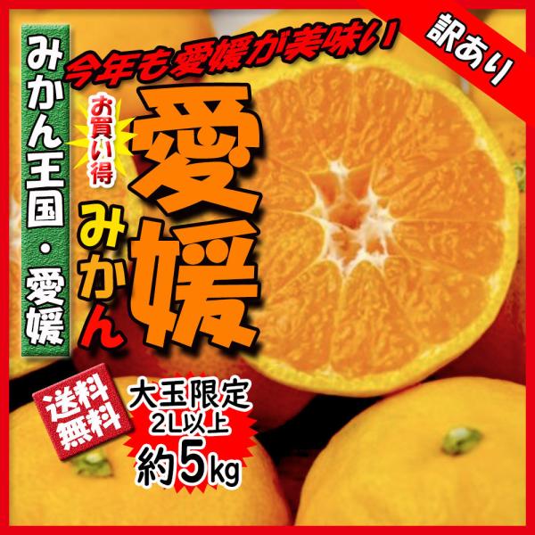みかん 訳あり 箱買い 愛媛みかん 大玉 温州みかん 約5ｋｇ 甘いみかん 美味しい愛媛のみかんをお買い得に!葉傷・浮皮・色むら・形の変異・大きさ不選別の、訳あり 愛媛みかんです。毎日美味しいみかんがあるベジろうで、その日最もお買い得に美味...