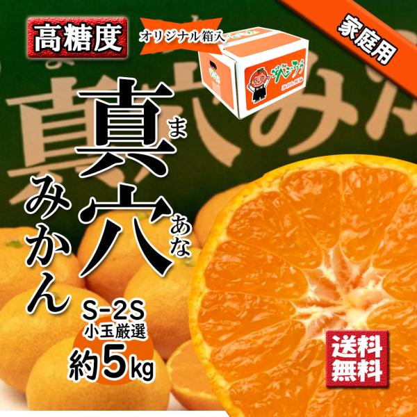 真穴みかん 家庭用 みかん 真穴 約5kg S〜2S 小玉 送料無料 