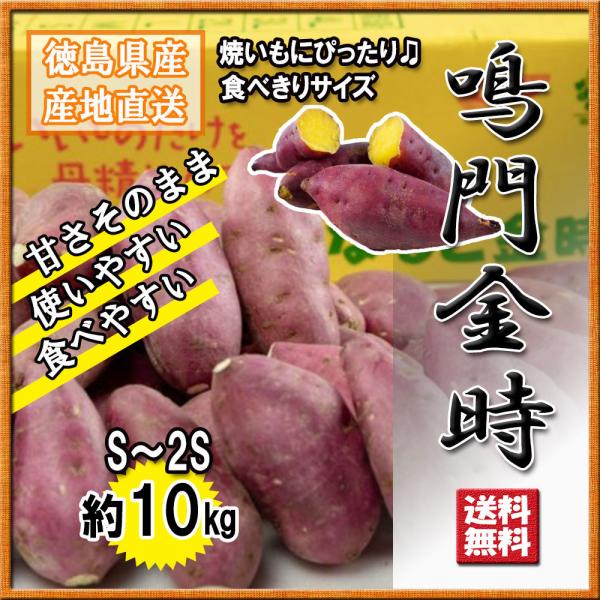 [Release date: July 17, 2018]鳴門金時 食べきりサイズ 2Ｓサイズ 徳島県産 なると金時 金時芋 さつまいも 10ｋｇ 送料無料※使いやすい食べきりサイズです。焼いもにも最適。中まですぐに火が通ります。●食味と外...