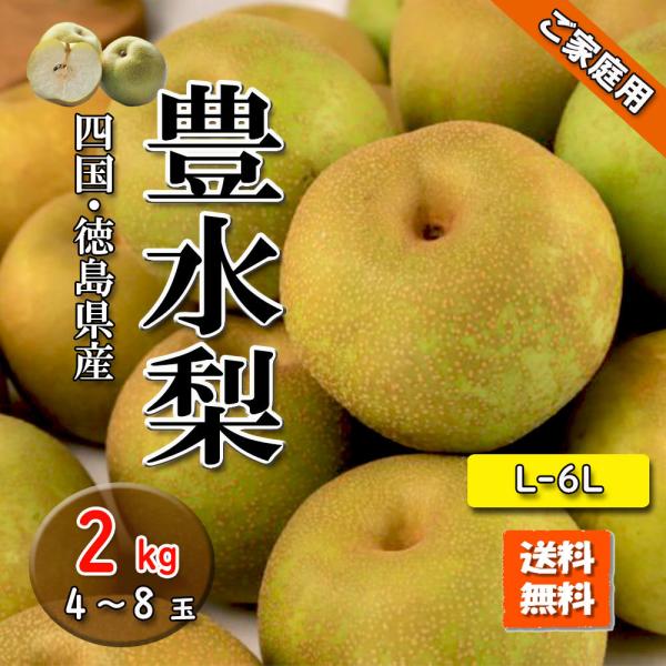 豊水 梨 豊水梨 ご家庭用 夏の疲労回復に L〜6L ほうすい 約2ｋg 送料無料 徳島県産 愛媛県産