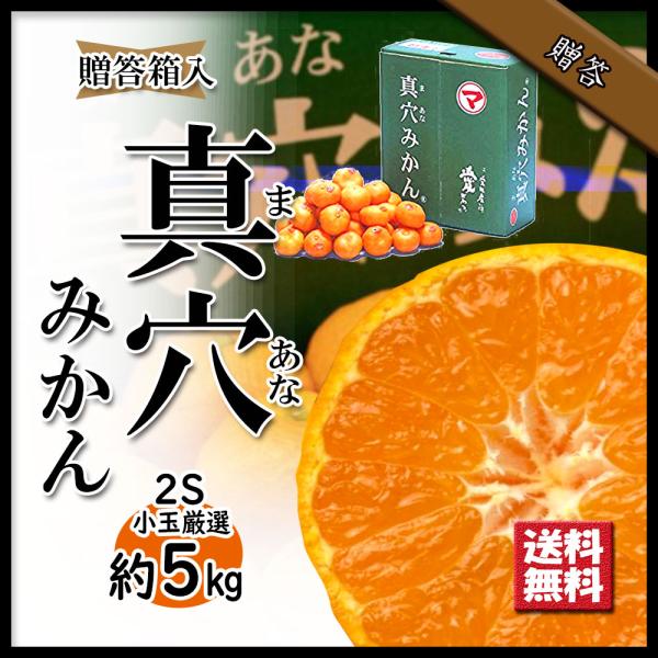 rin様ご予約分　真穴産みかん　こだま rin様ご予約分 真穴産みかん こだま