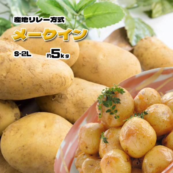 商品名：メークイン S-2L内容量：5ｋｇ原産地：国産　産地リレー方式あらゆる調理に相応しいメークイン。その時期一番美味しい産地を選別しお送りします。