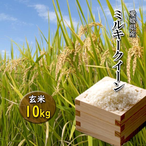 ミルキークイーン 愛媛県産 新米 2025年 玄米 精米可 約 10ｋｇ 送料無料