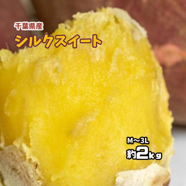 シルクスイート 千葉県産 さつまいも 約2ｋｇ 送料無料 M〜3L商品名：シルクスイート内容量：2ｋｇ　M〜3L原産地：千葉県紅はるかと同じように、濃い紅色の皮にクリーム色のお芋。収穫してすぐはホクホク、貯蔵したものは粘り気のある食感になり...