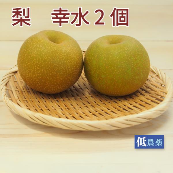 梨　幸水　2個　新潟県産　低農薬栽培　送料別