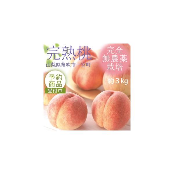 【予約】産地直送　桃  送料込 山梨県産  約3kg（5〜7個前後） 無農薬 もも作り名人中沢さんの桃　※7月下旬〜8月中旬発送予定　※お届け日指定不可