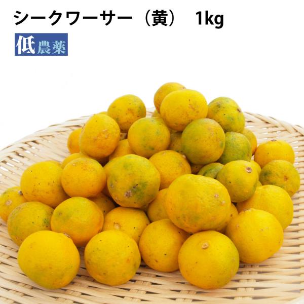 沖縄県産 シークワーサー フルーツの人気商品 通販 価格比較 価格 Com