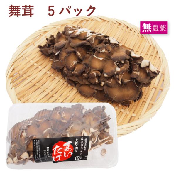 Y ̂  ܂@100g@5pbN VY@