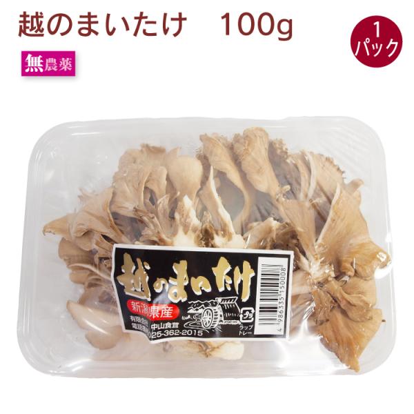 国産 きのこ 舞茸 越のまいたけ　100g　1パック 新潟県産 送料別 ポイント消化 食品