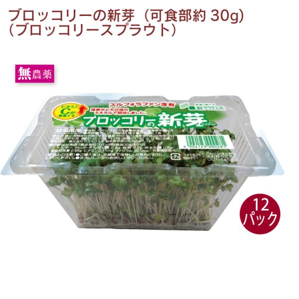 ブロッコリースプラウト　12パック　産地：岐阜農薬・化学肥料不使用