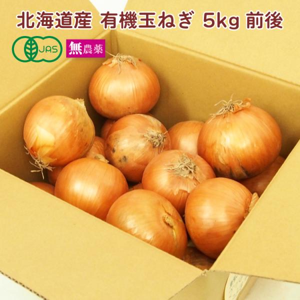 有機玉ねぎ　5kg前後　産地：北海道　