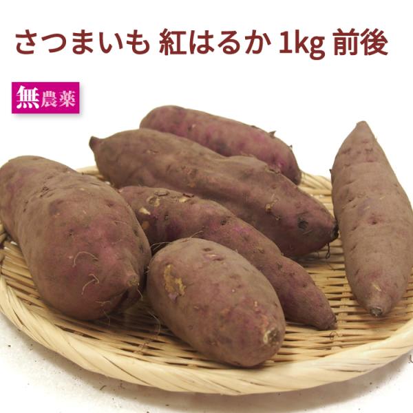人気です さつまいも 紅はるか 1kg前後 無農薬栽培 追熟済 すぐ焼ける 送料別
