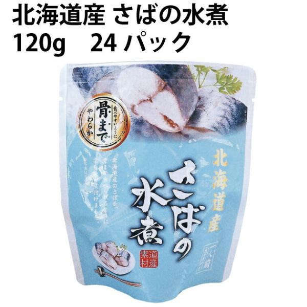 R kCY ΂̐ 120g@24pbN 