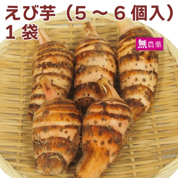 えび芋（5〜6個入）×1袋 無農薬栽培 産地：広島