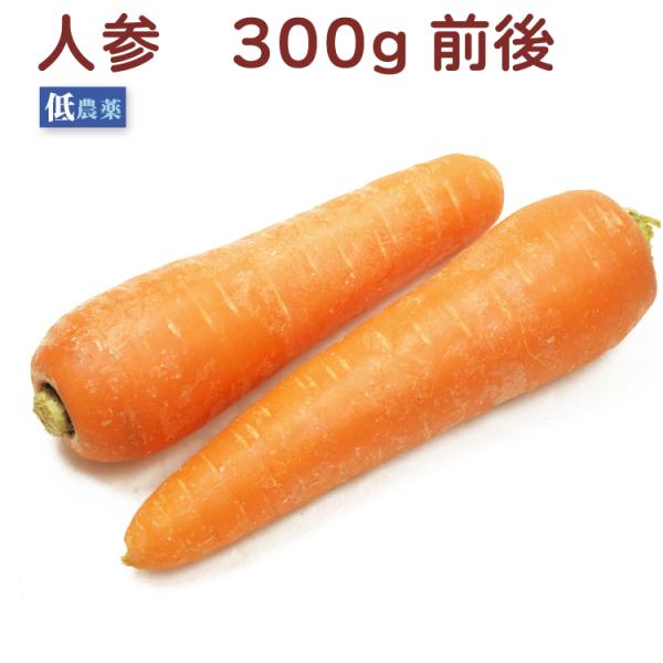 低農薬栽培　人参　300g前後　産地：新潟・長野常備しておきたい野菜