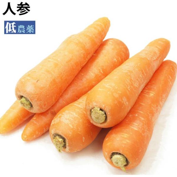 低農薬栽培　人参　1kg前後　産地：新潟・長野常備しておきたい野菜