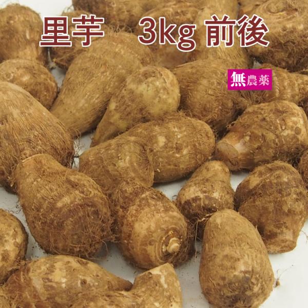 里芋　3kg前後　無農薬栽培　産地：埼玉安心な無農薬栽培です。味も香りも非常に濃く、煮物もオススメですが、まずは蒸して塩か醤油をつけて、そのままお召し上がりください。