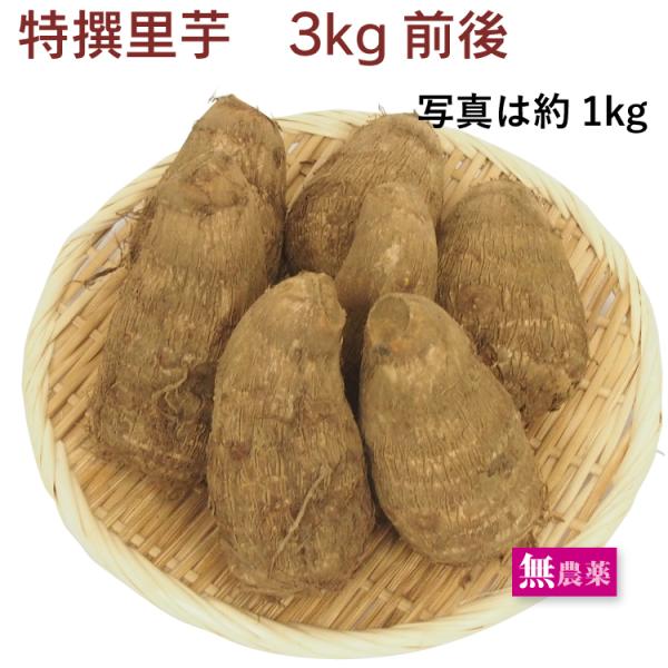 原材料：特撰里芋　3kg前後産地：埼玉