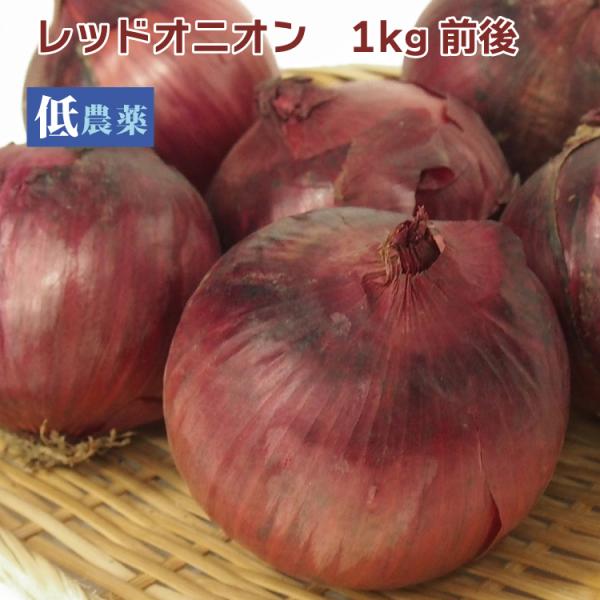 レッドオニオン　1kg前後 産地：北海道低農薬栽培のレッドオニオンです。<br>辛みが少なく、サラダに新しい彩りを加えてくれます。