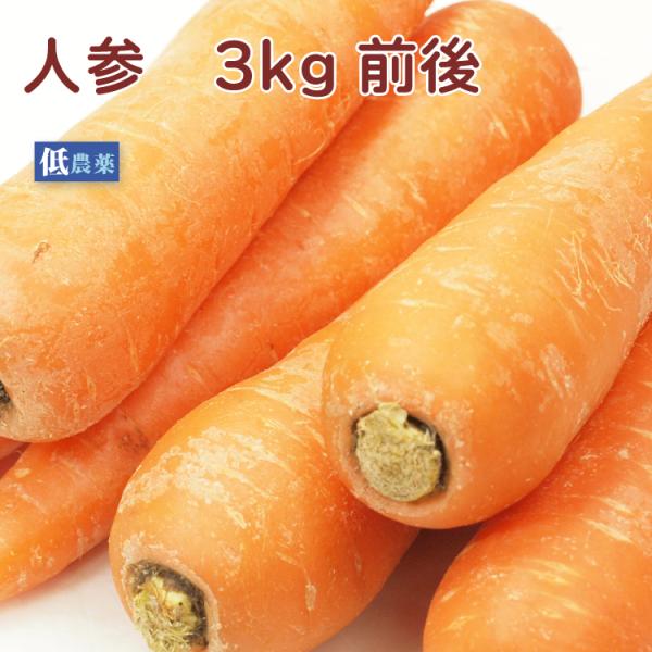 低農薬栽培　人参　3kg前後　産地：新潟・長野常備しておきたい野菜