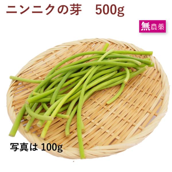 ニンニクの芽　無農薬栽培 　500g　送料込