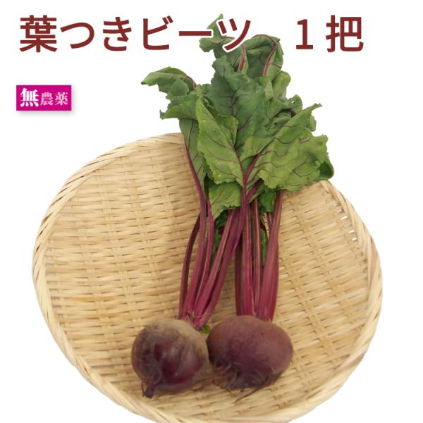 葉つきビーツ 1把 無農薬栽培 栃木産  栄養豊富な奇跡の野菜 送料別