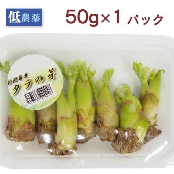 タラの芽（栽培）50g×1パック 低農薬栽培 産地：新潟<br>「山菜の女王」ともいわれるタラの芽です。<br>ほのかな苦みともっちりした食感が特徴で、天ぷらや胡麻和えでおいしさを実感していただけます。<br&...