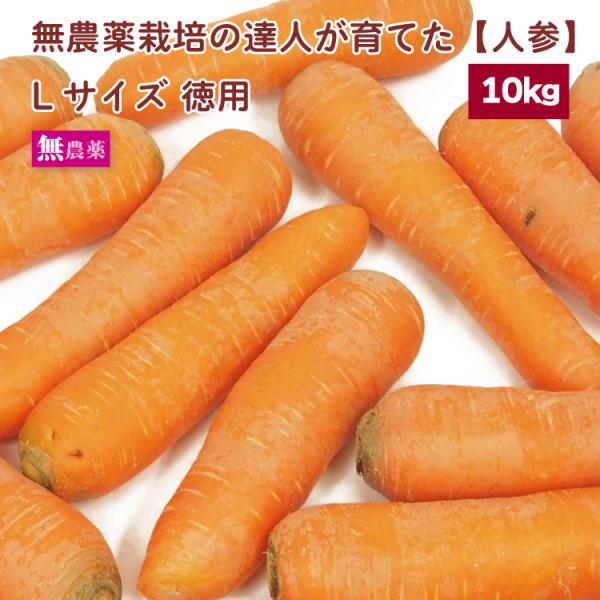 期間限定 お買い得 人参 Lサイズ  お徳用 自宅用 10kg前後 送料込無農薬栽培 生産者：埼玉　吉沢農園