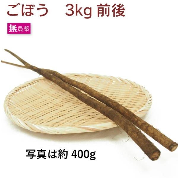 ごぼう3kg前後 無農薬栽培 送料込産地：北海道