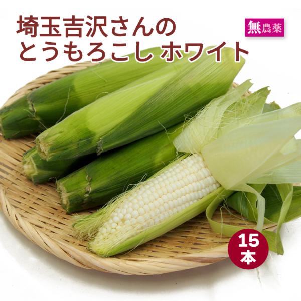 完全無農薬栽培のとうもろこし 毎年人気　とうもろこし ホワイト 埼玉県産 無農薬栽培 【15本】 送料込
