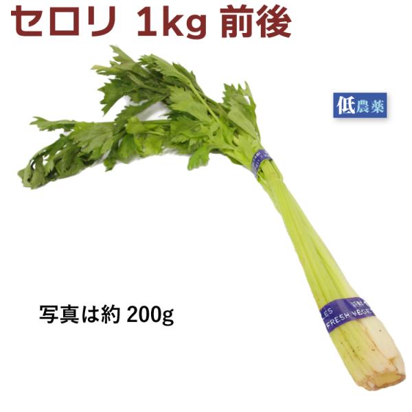 野菜 きのこ セロリ 野菜の人気商品・通販・価格比較 - 価格.com 野菜 きのこ セロリ 野菜の人気商品・通販・価格比較 - 価格.com