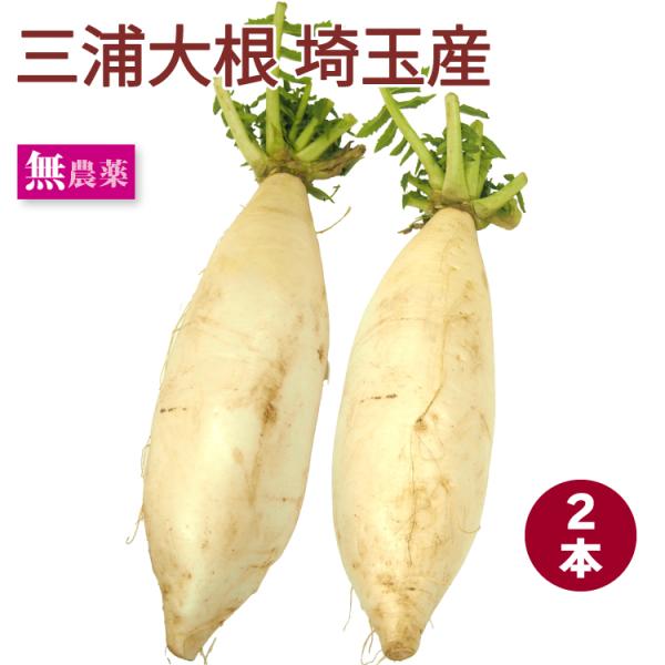 三浦大根　2本　生産者：埼玉　吉沢農園　無農薬栽培　送料込商品説明：お正月のなます作りには欠かせませんし、柔らかいのに煮崩れしにくく、おでんや煮物にもおすすめです。生のまま、スライスしてわさび醤油で食べても、瑞々しくておいしいですよ！※農産...