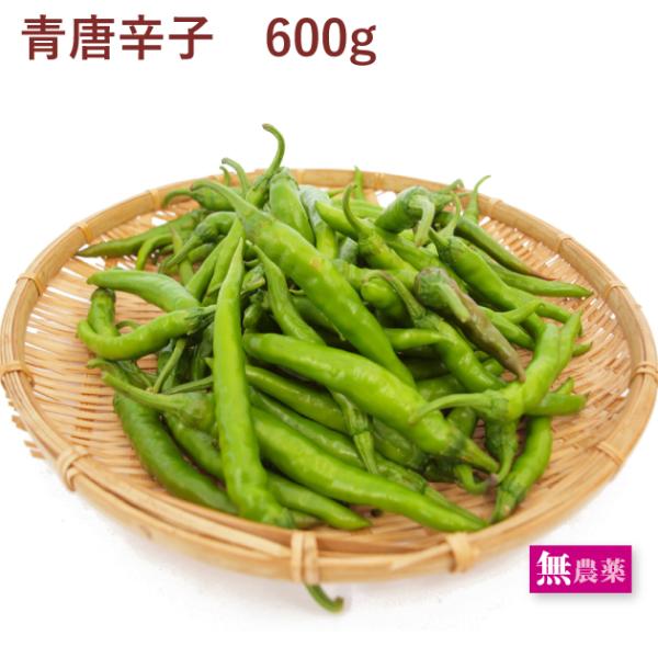 国産 とうがらし その他の野菜 きのこの人気商品 通販 価格比較 価格 Com