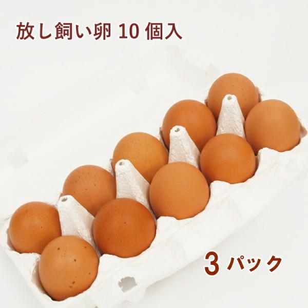 あさぎり宝山ファーム農場 放し飼い卵 10個 3パック 無添加 国産 静岡 朝霧高原 宝山ファーム 放し飼い 送料込